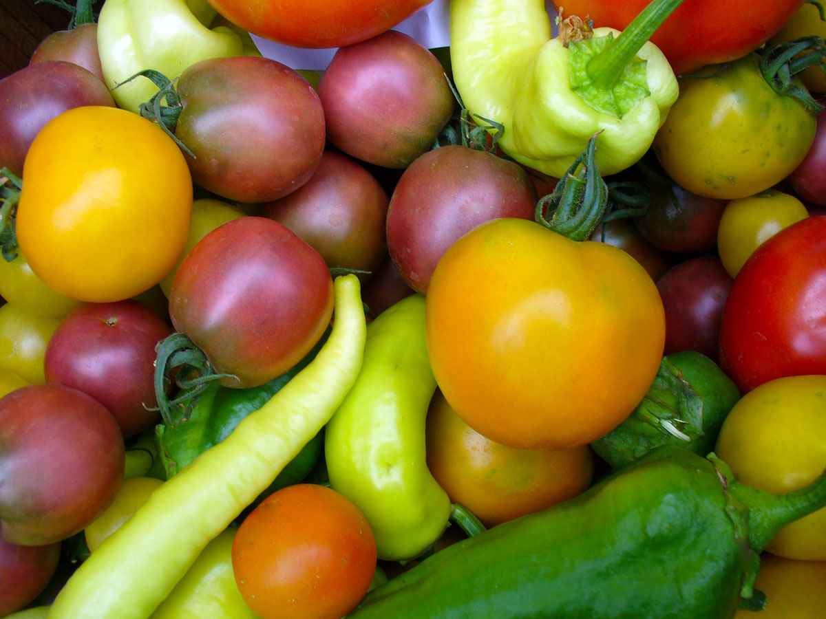 Peppers and tomatoes by Susan Fluegel